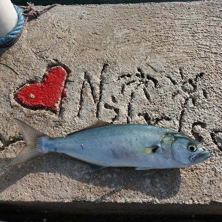 Apartment "I Love Njivice" Χέρτσεγκ Νόβι Εξωτερικό φωτογραφία