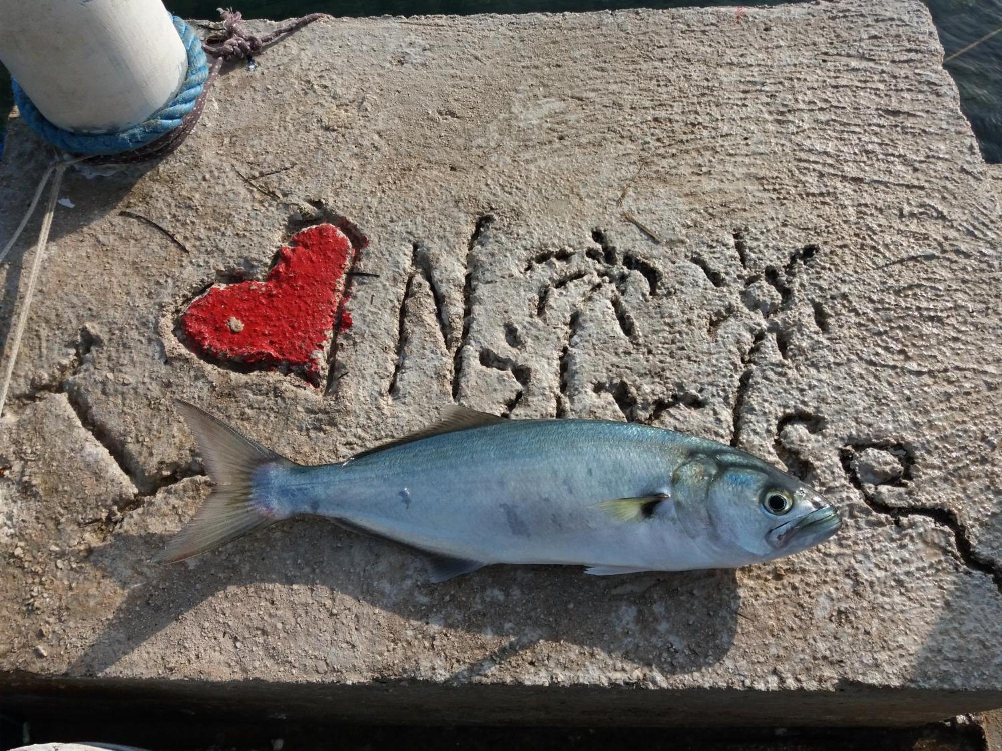 Apartment "I Love Njivice" Χέρτσεγκ Νόβι Εξωτερικό φωτογραφία